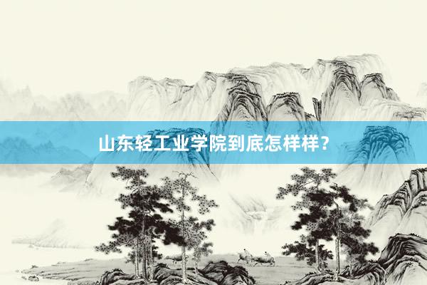 山东轻工业学院到底怎样样？